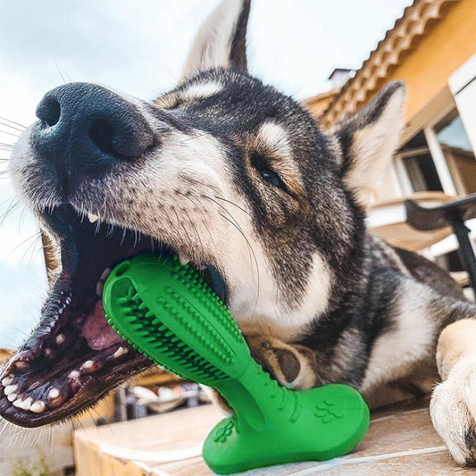 Dog Toothbrush Bite Resistant Molar Toy