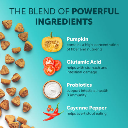 Pet Probiotic Chewable Tablets for Healthy Digestion