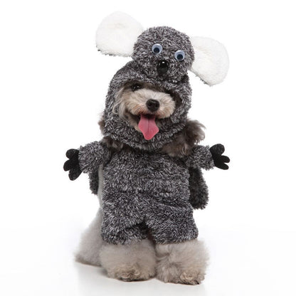 European and American Style Pet Clothing Collection
