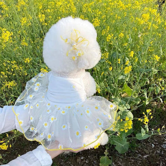 New Dog Clothes Cute Mesh Strawberry Strap Dress