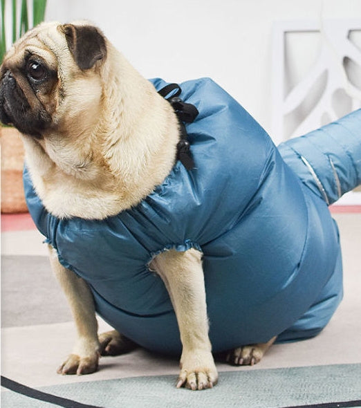 Pet Drying Bag with Quick-Dry Hair Dryer