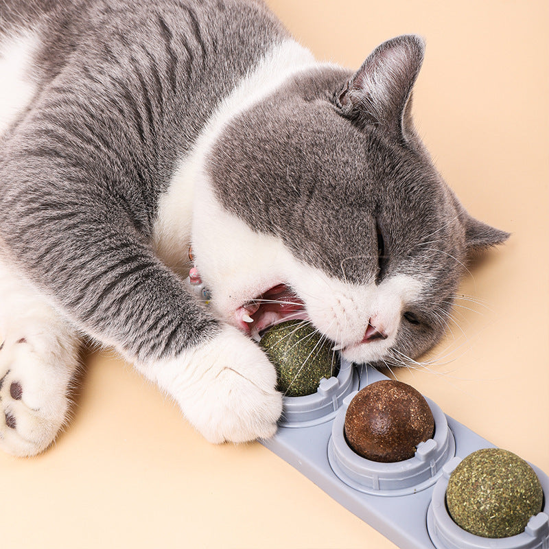 Cat's Molars, Cleaning Teeth, Biting And Digesting Mint Balls