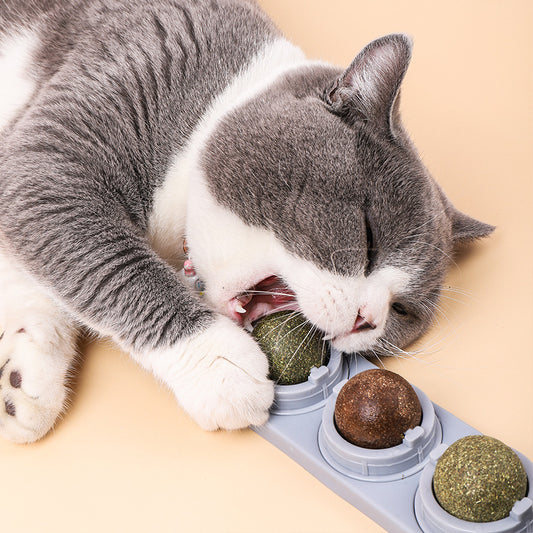 Cat's Molars, Cleaning Teeth, Biting And Digesting Mint Balls