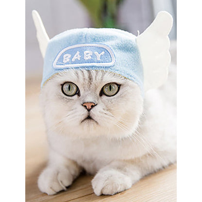 Curly Hair Pet Hat for Cats and Dogs