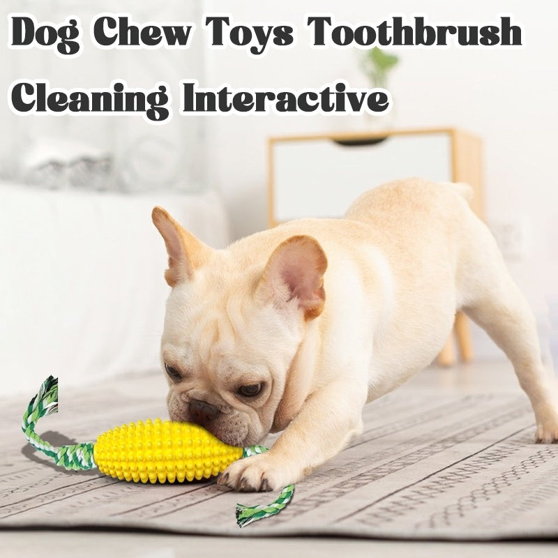 Dog Chew Toy with Toothbrush Design