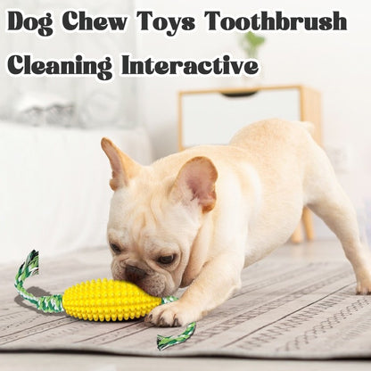 Dog Chew Toy with Toothbrush Design