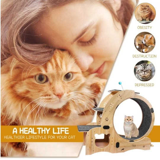 Cat Running Wheel With Silent Wheel