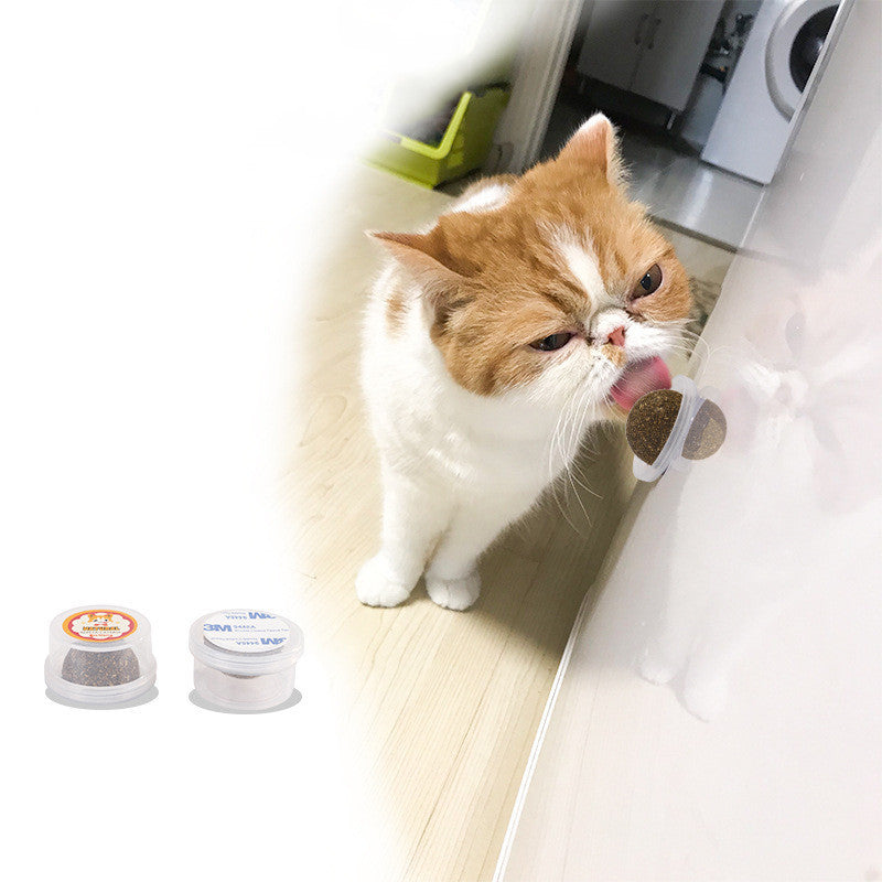 The Cat Vigorously Licks The Pet Cat Grass Ball