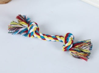 Pet dog bites rope toy