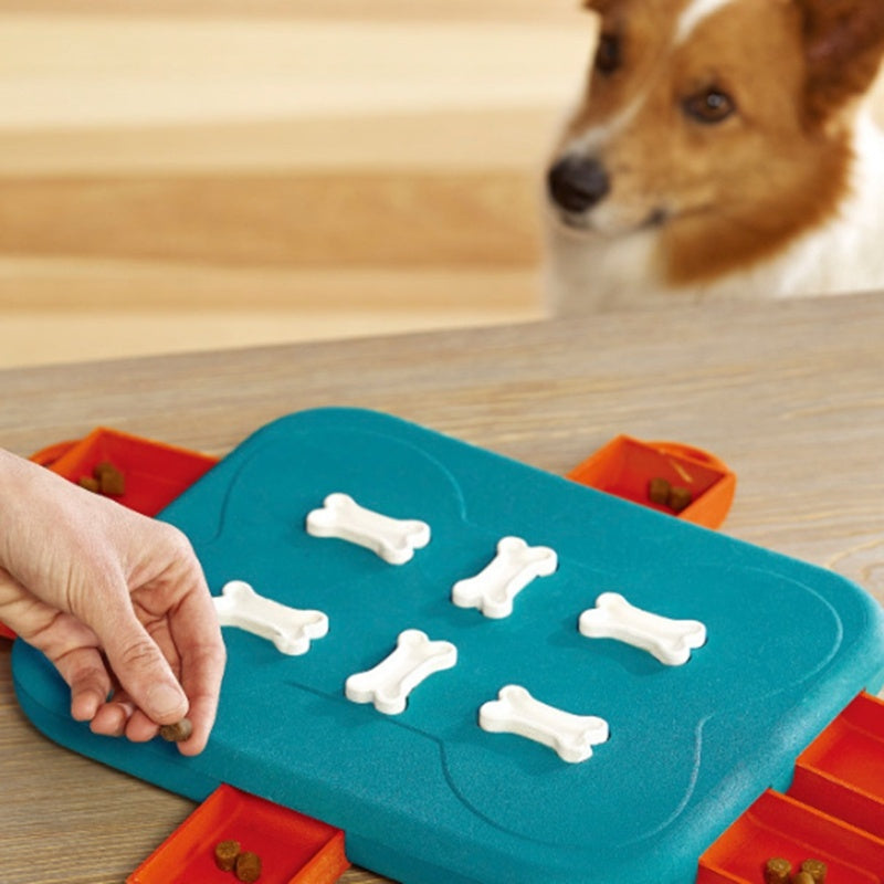 Dog food leaker educational toy