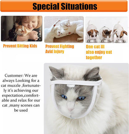 Transparent Cat Muzzle for Grooming and Biting Prevention