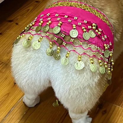 Belly Dance Fart Chain Sequined Waist Chain Enthusiastic Dog Fart Hip Scarf