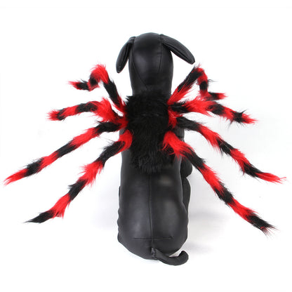Halloween Spider Costume for Dogs and Cats