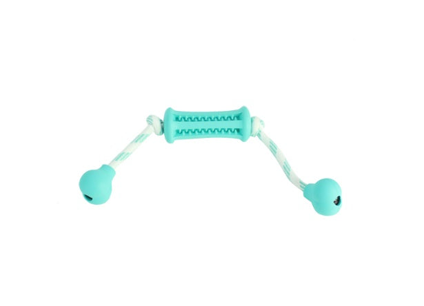 Dog molar toy