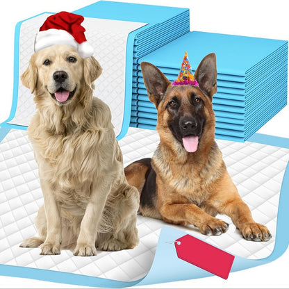 Two dogs, one with a Santa hat and the other with a party hat, sitting next to a stack of blue puppy pee pads.