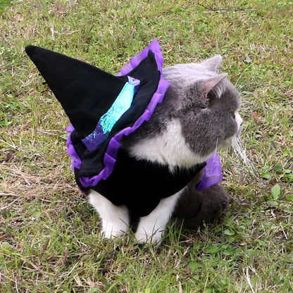Halloween Wizard Costume For Dogs And Cats