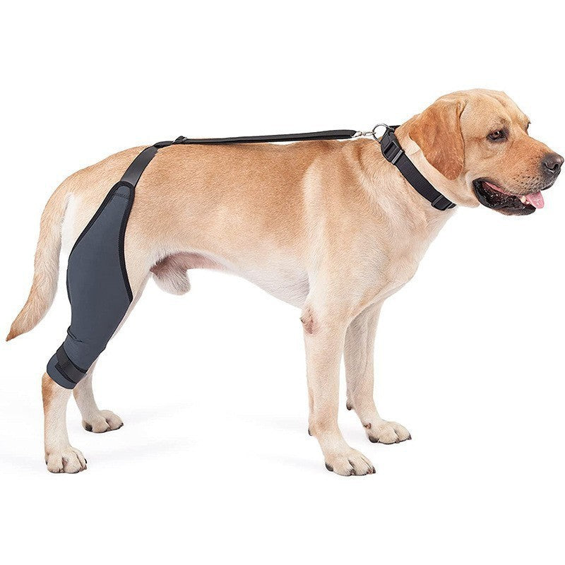 Tear Protection Rehabilitation Training Belt