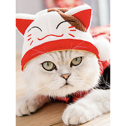 Curly Hair Pet Hat for Cats and Dogs