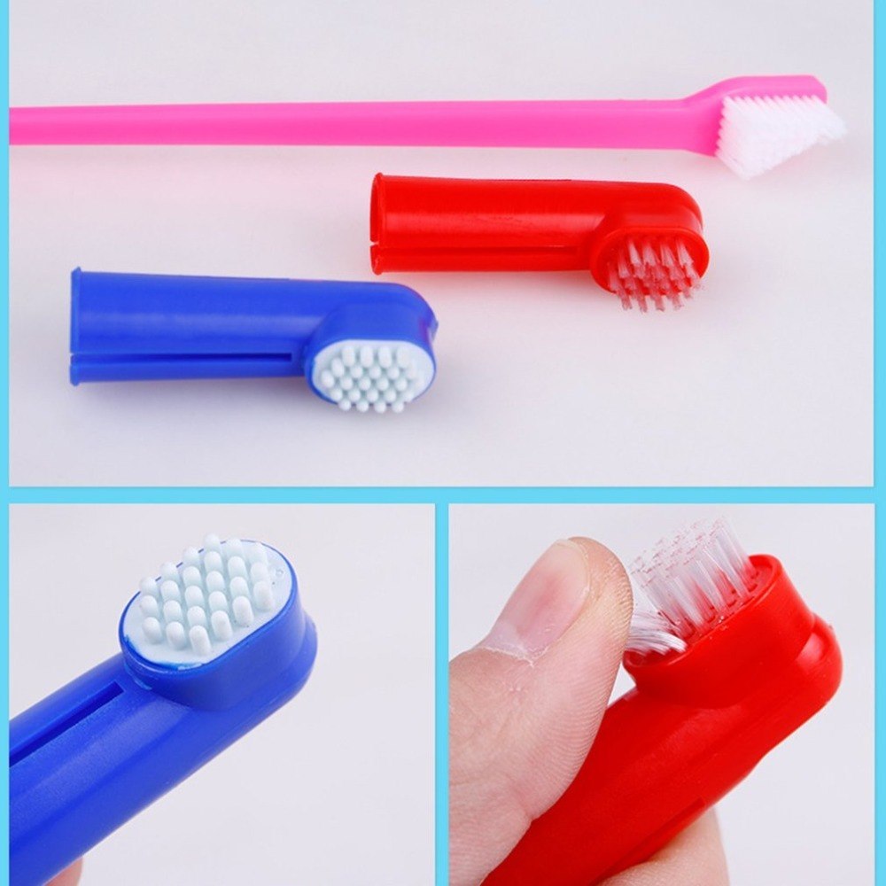 Dual Head Pet Toothbrush Set