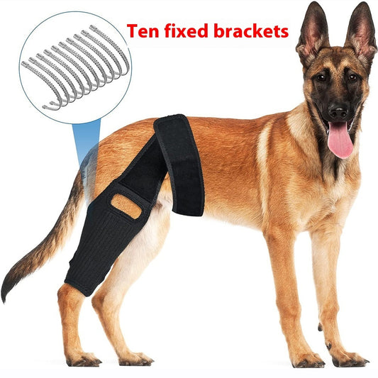 Tear Protection Rehabilitation Training Belt