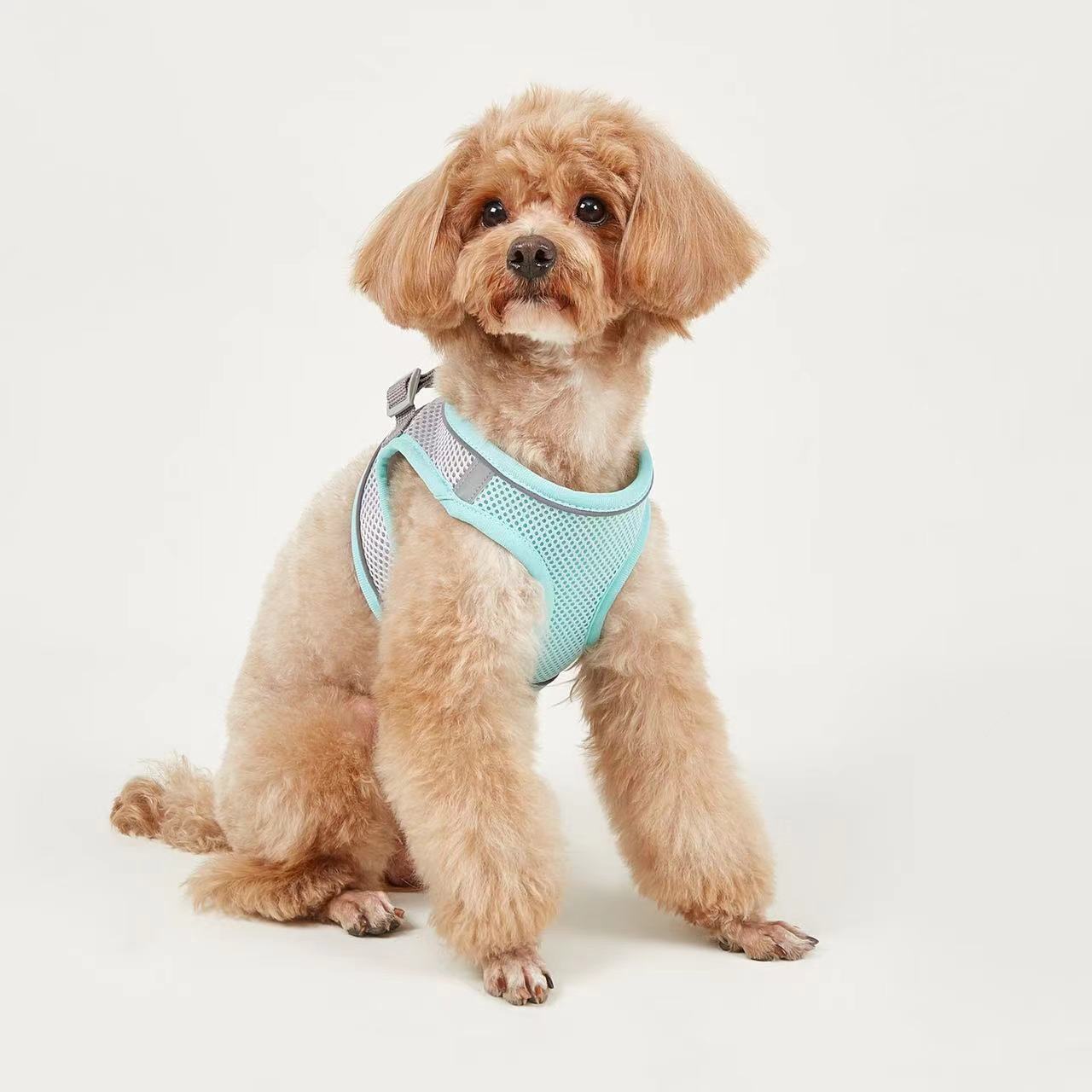 Dog Hand Holding Rope Vest Small Dog Dog Leash Teddy Bichon Breathable Chest Strap Pomeranian Puppy Small Dog Leash