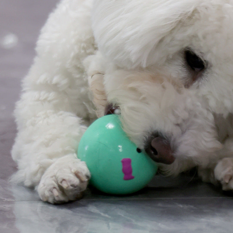 Pet Toy Made Of Latex, Cute Four-color Egg-shaped Toy With Sound, Suitable For Small And Medium-sized Dogs. Pet Supplies