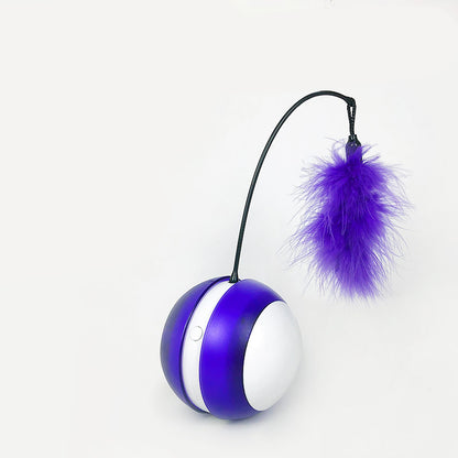 USB Free Cat Toy Ball – Rechargeable Interactive Play for Cats