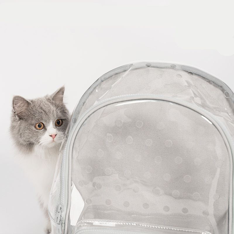 Transparent Portable Cat Walking Bag