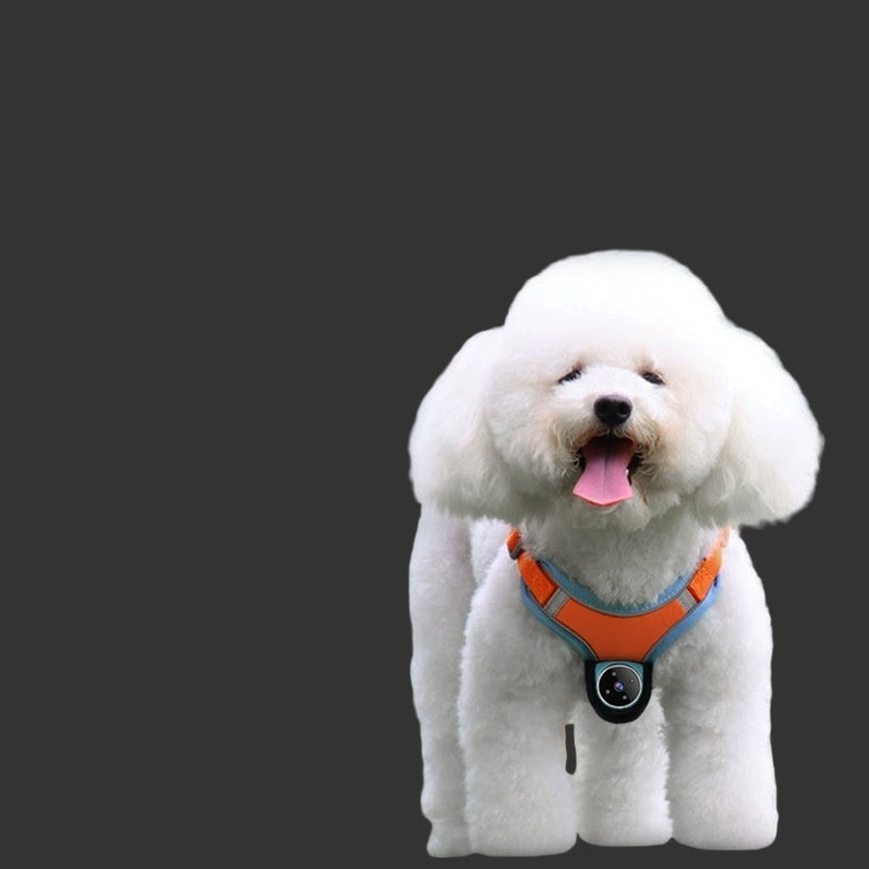 Pets Recorder & GPS Tracker Collar – Motion Recording Camera for Dogs and Cats