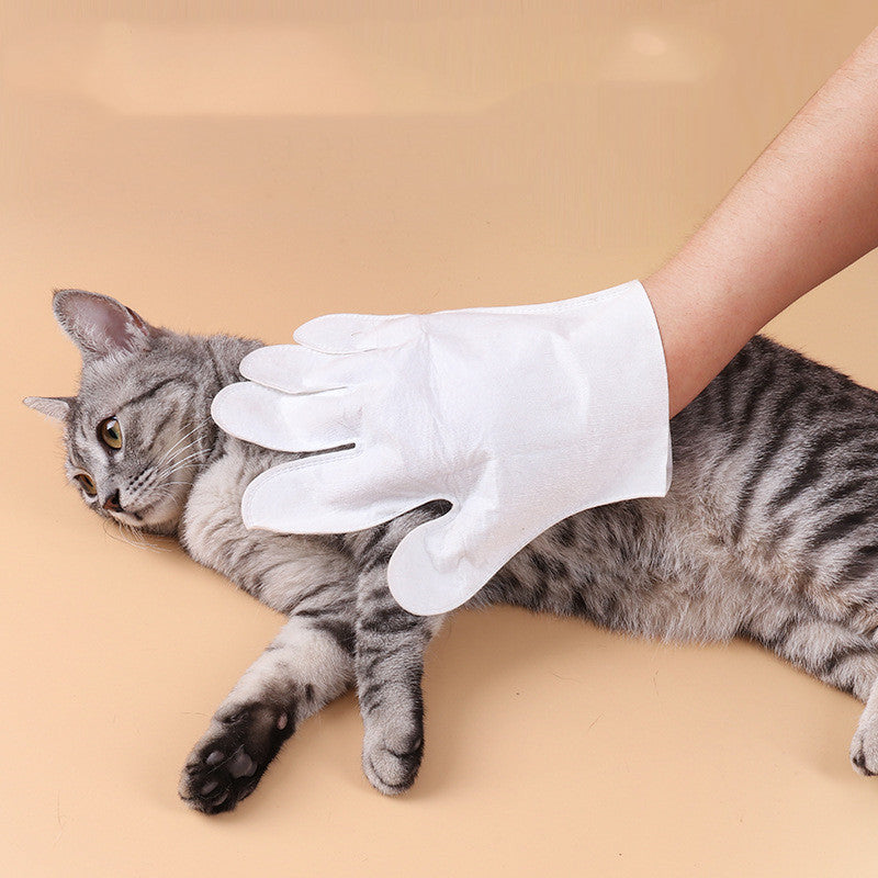 Disposable Pet Cleaning Gloves for Dogs and Cats