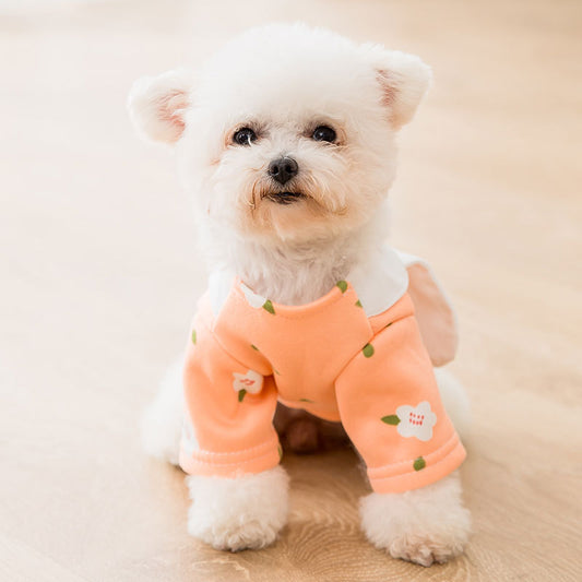 Little Rabbit Shaped Pet Transforming Sweatshirt