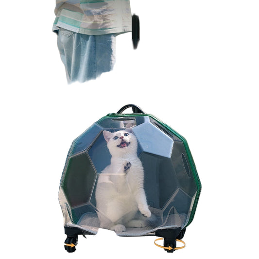 Pet Trolley – Transparent Portable Cat and Dog Luggage Suitcase
