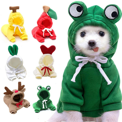 A collection of fruit-themed dog hoodies, each designed to look like a different fruit with a cute character face. A dog is shown wearing one of the hoodies, which is green with a frog design.