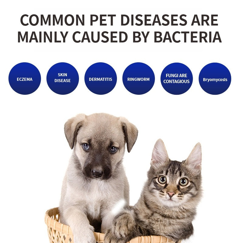 UV Pet Grooming And Bacteria Comb