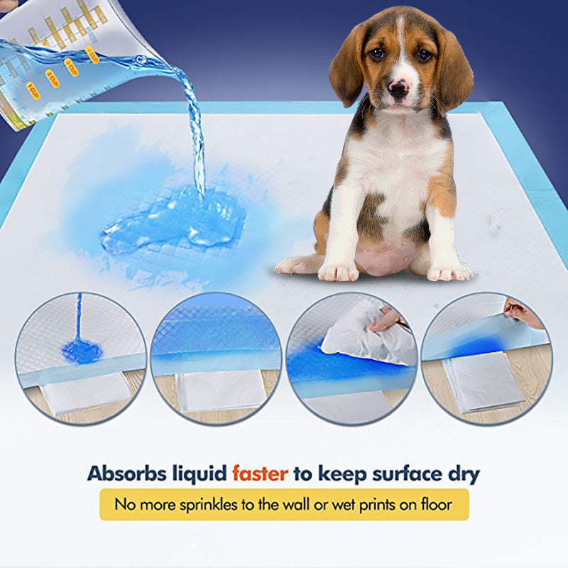 Pet Hygiene Absorbent Dog Pad