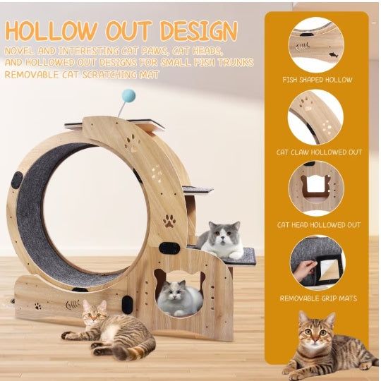 Cat Running Wheel With Silent Wheel