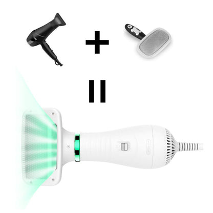 Pet Electric Hair Dryer Comb Dog Hair Heating Fan Drying And Drawing Combo Pet Hair Comb