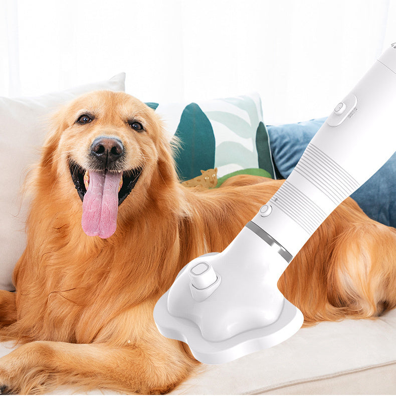 2 in 1 Pet Hair Dryer And Hair Removal Comb