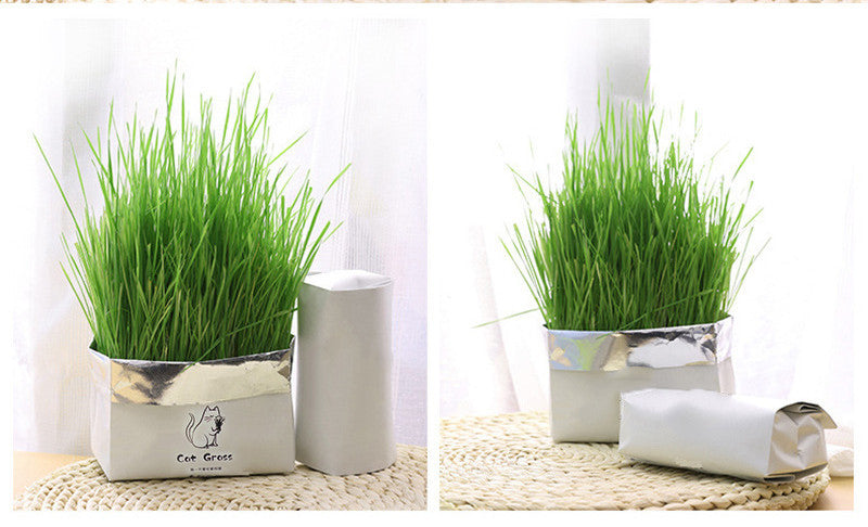 Organic Cat Grass Kit Natural Oral Care