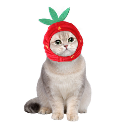 Curly Hair Pet Hat for Cats and Dogs