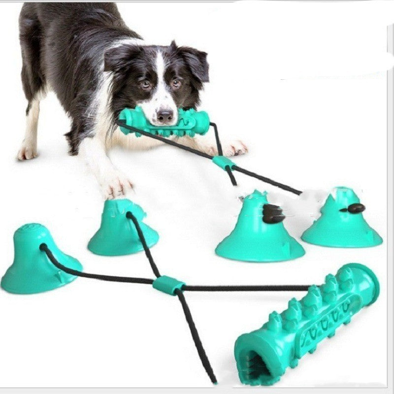 Suction Cup Molar Chewing Toy for Pets