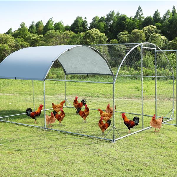 Upgrading A Large Metal Chicken Coop With Three Support Steel Wire Impregnated Mesh Cage