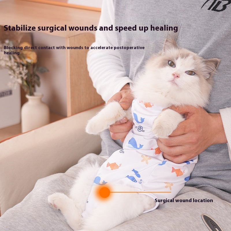 Cat Sterilization Clothing Post-operation Printing Series Four Seasons