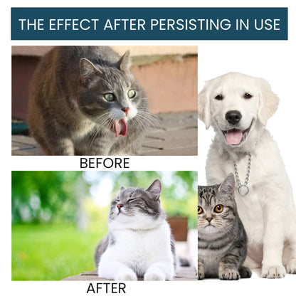Pet Immunity Oral Drops For Cats And Dogs, Special Nutrition Immune Health Care Drops