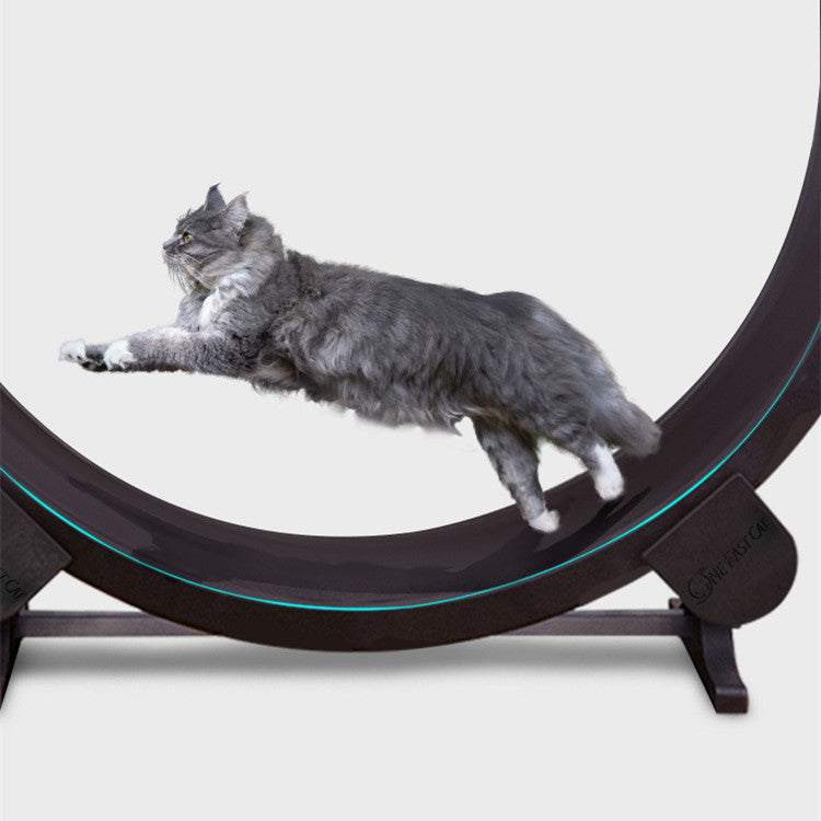 Pet Cat Running Wheel Fitness Toys