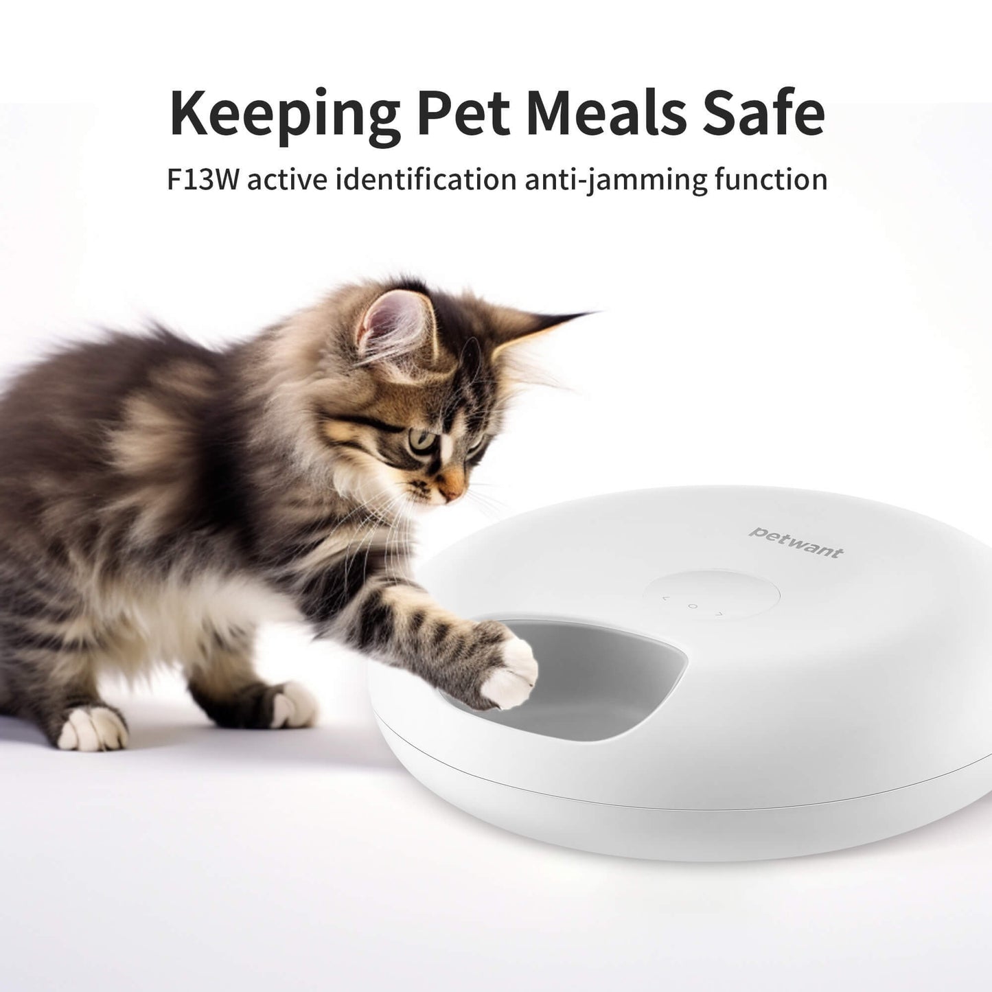 Donut Frost WiFi 6 Meal Automatic Cat Food Dispenser With App Control, Dry & Wet Food Automatic Cat Feeder, Smart Dog Feeder With Two Ice Packs, Programmable Timer, Holds 6 X Of Food