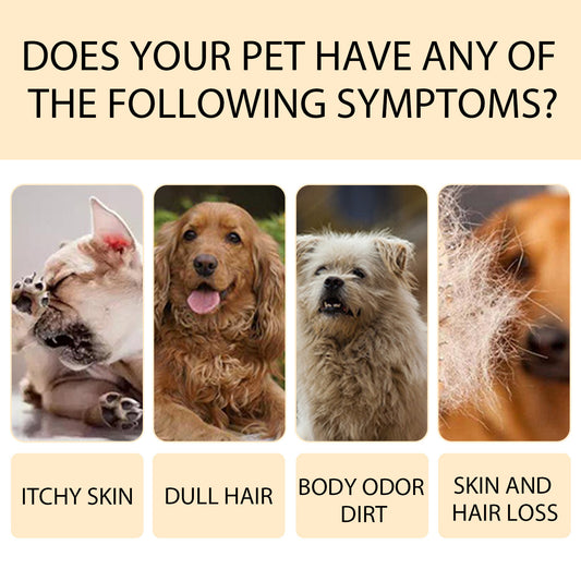 Pet Shampoo for Soft and Clean Fur