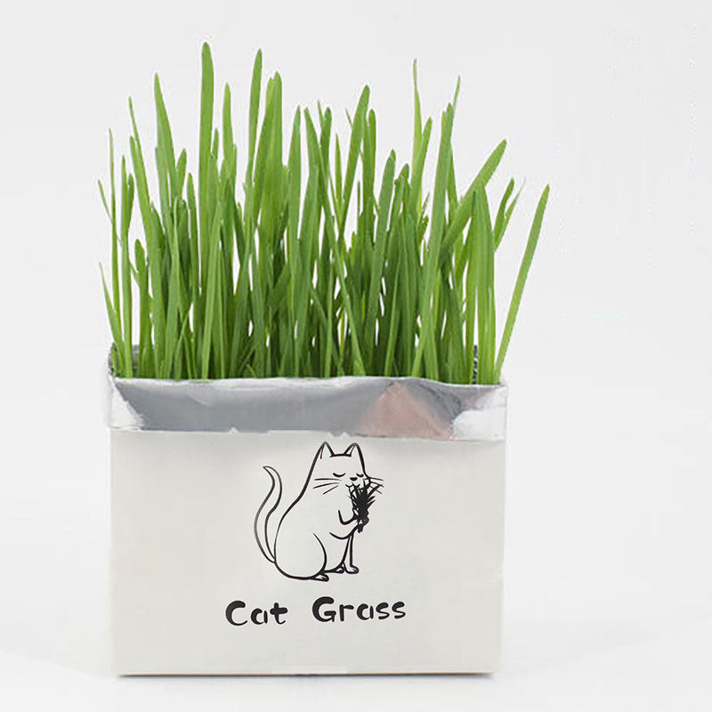 Organic Cat Grass Kit Natural Oral Care