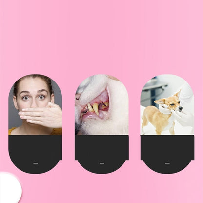 Complete Pet Dental Care Toothbrush Set – Easy Oral Cleaning for Dogs & Cats