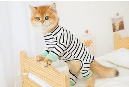 Clothes Ins Puppet Cat British Short Cat Cat Anti-hair Shed Four-legged Clothing Hairless